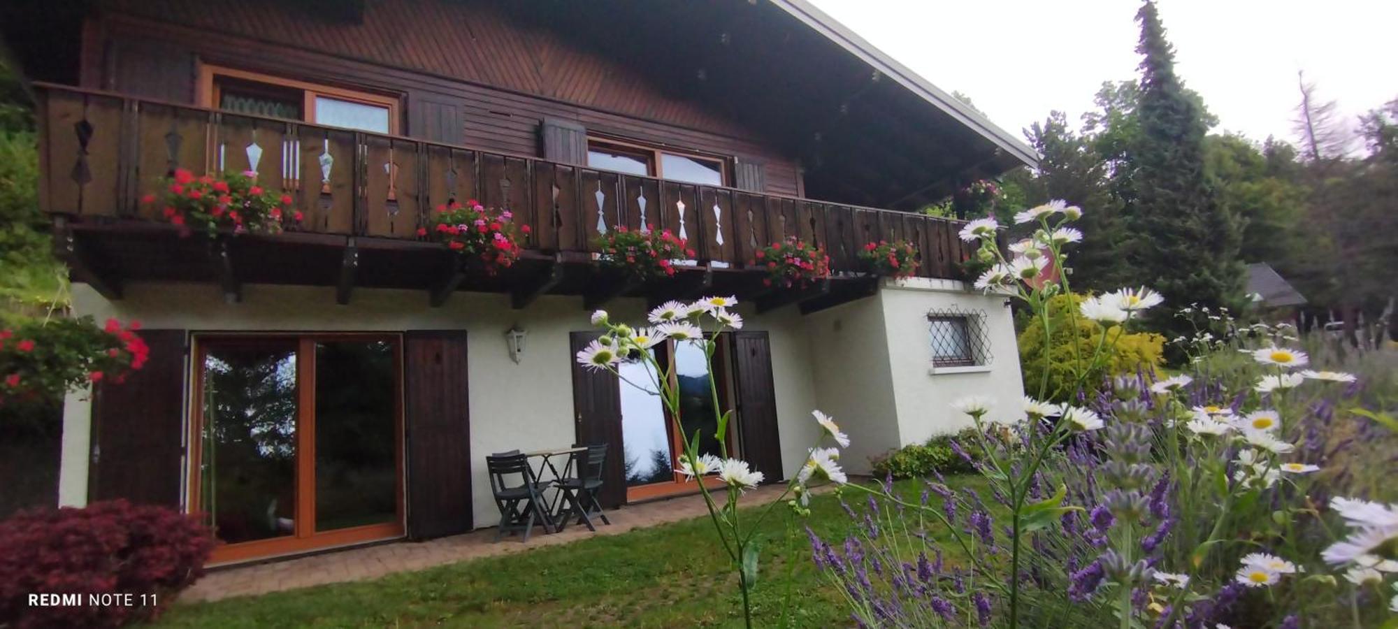 Chalet Au Bois Des Ecureuils Classe Trois Etoiles. Muhlbach-sur-Munster Exterior foto