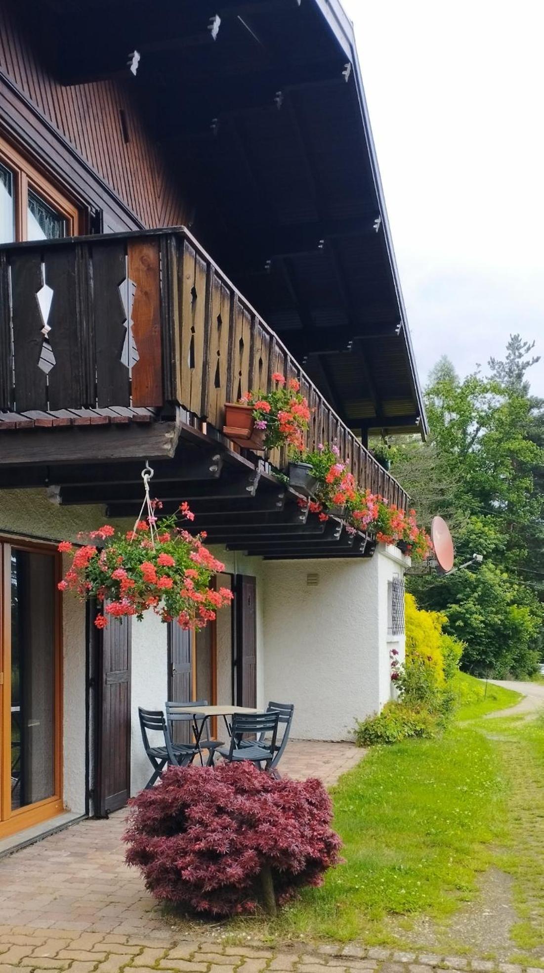 Chalet Au Bois Des Ecureuils Classe Trois Etoiles. Muhlbach-sur-Munster Exterior foto